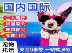 遥墙机场货运国际宠物托运 【国